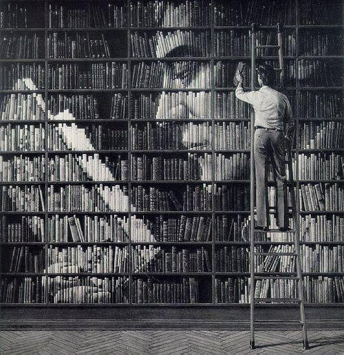 Library portrait.jpg